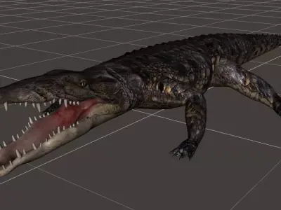 A Crocodile realistic 3d model alligator 3D model