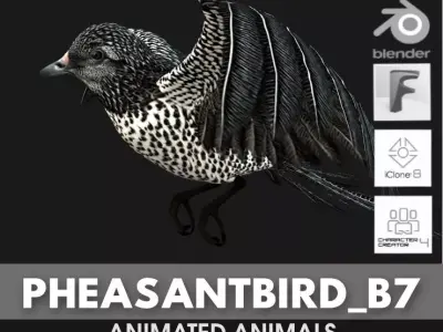 PheasantBird B7 3D model