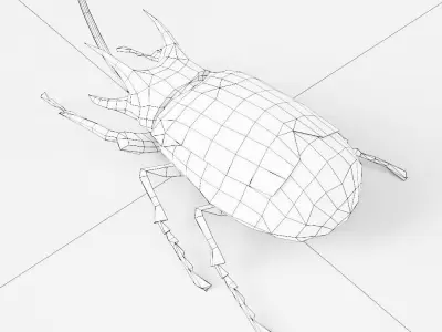Beetle low poly 3d model origami Low-poly 3D model