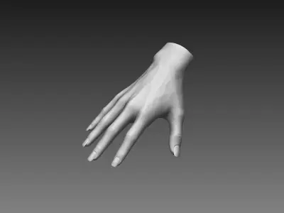 12 Female Hands 3D model