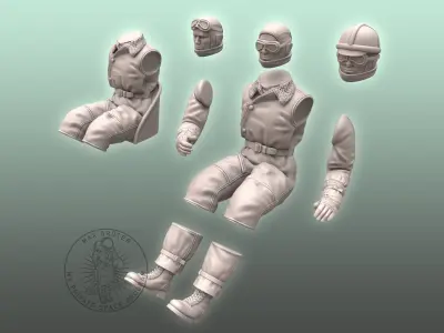 WW I Pilot 3D print model