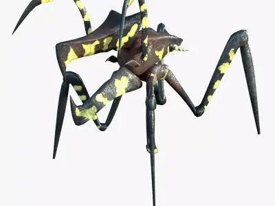 Warrior Bug Low-poly 3D model
