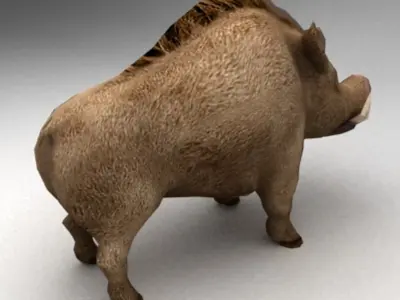 Wild boar 3D model get