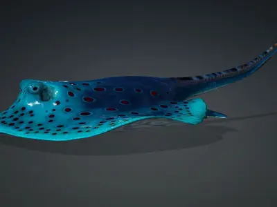 Ray Fish-A1 3D model