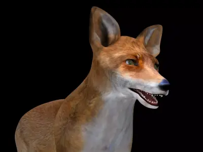 Fox red 3D model Low-poly 3D model
