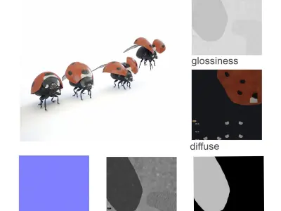 ladybird four ladybugs 3D model