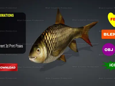 FISH ANIMATED Low-poly 3D model