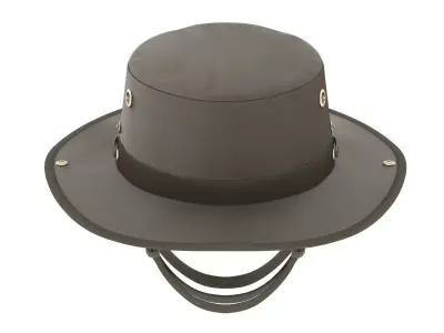 Wanderer Hat Low-poly 3D model