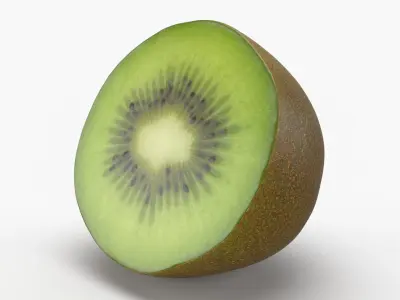Half Cut Kiwi 3D model