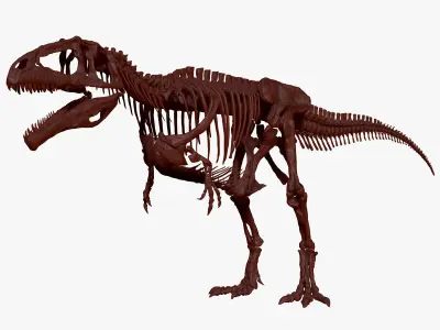 Dinosaur Giganotosaururs Full Skeletons Sculpt Project 3D model