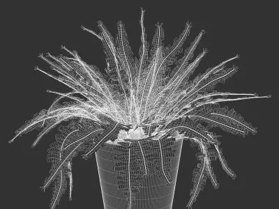  Boston Fern Potted Plant Model 