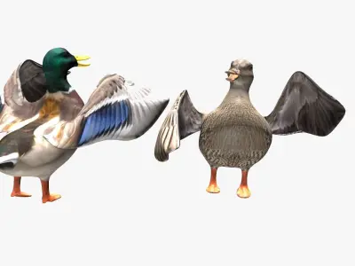 Ducks two Low-poly 3D model
