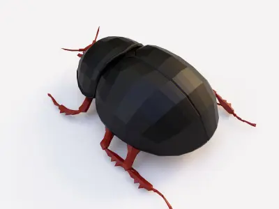 Beetle 3d model Low-poly 3D model