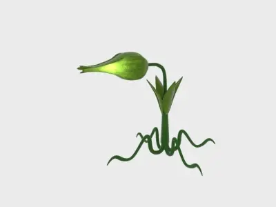  Cartoon Munch Plant  Low-poly 3D model