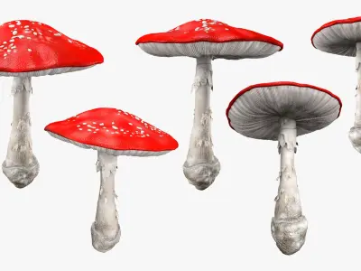 Mushroom Set 3D model