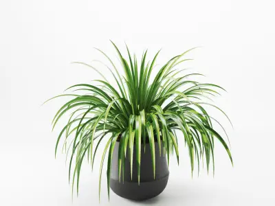 Indoor Decorative Plants in Pot Set - 01 3D model