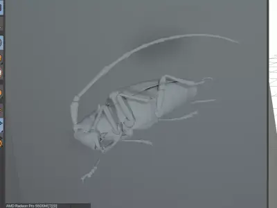 Anoplophora malasiaca 3D model