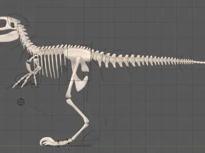 Carnivore Dinosaur Skeleton Low-poly 3D model