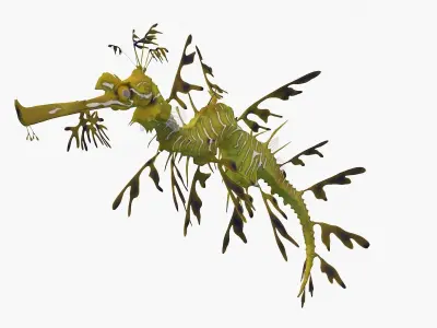 Phycodurus eques seadragon Low-poly 3D model