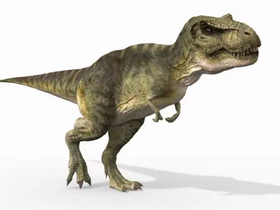 T Rex Forever - 8K 3D model