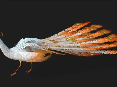 Peacock V5E 3D model