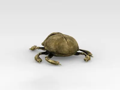 Golden scarab 3D model