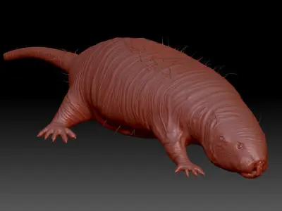 Mole Rat 3D model