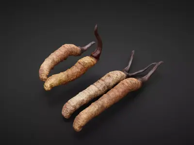 insect Low-poly 3D model