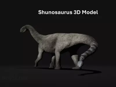 Shunosaurus Realistic 3D Model Low-poly 3D model