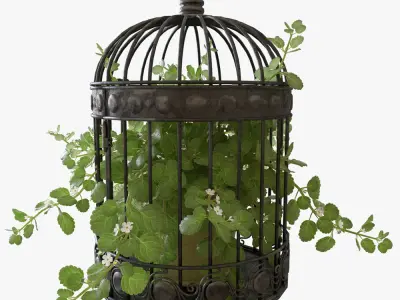Ivy in a bird cage 3D model