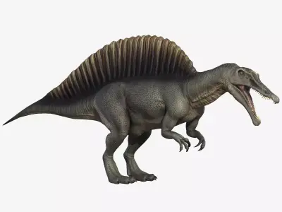 Spinosaurus dinosaur Low-poly 3D model