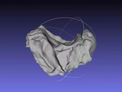 Psittacosaurus Atlas Vertebra Free 3D print model