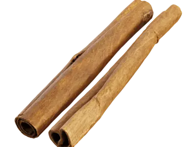  Cinnamon Sticks Model 