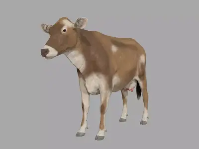 Cattle cow 3D model