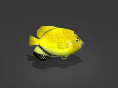 Three-spot Angelfish Low-poly 3D model