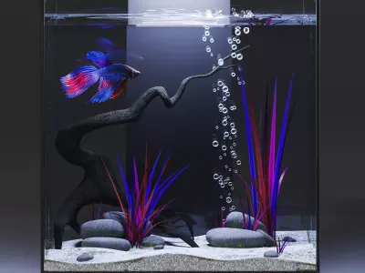 Aquarium with Siamese fighting fish 3D model