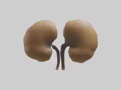 Cheetah Kidneys Low-poly 3D model