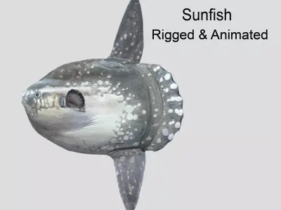 Sunfish Low-poly 3D model
