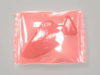 Wrapped Red Fish 3D 3D model