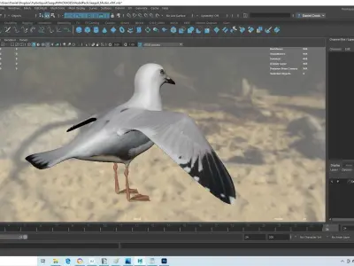 Realistic Seagull Model - Rigged Low-poly 3D model