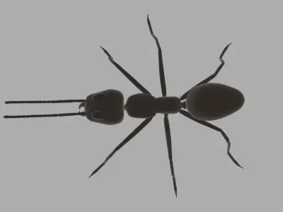 Argentine Ant Rig Simple Free 3D model