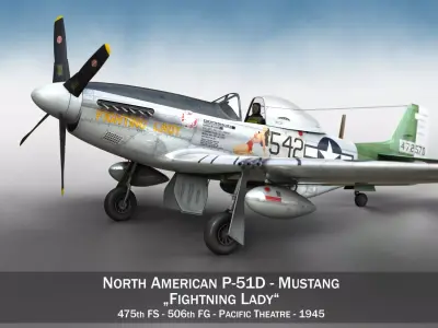 North American P-51D Mustang - Fighting Lady 3D model