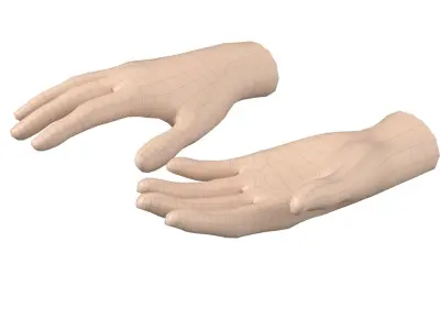 Female Hand Base Mesh 06 3D model