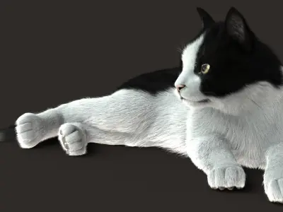 Cat (2) (B&amp;W) (RIG) (FUR) 3D model
