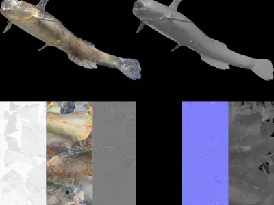 Freshwater Fish Pack 3D model