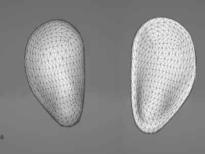 Mussel Shell Low-poly 3D model
