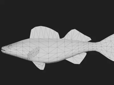 Walleye Low-poly 3D model