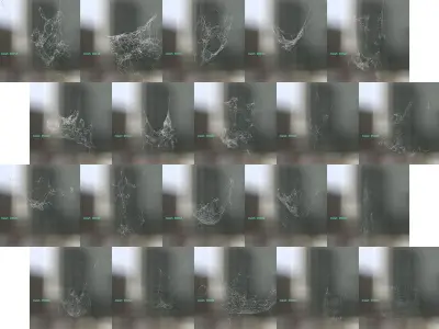 Spiderweb Bundle 3D model