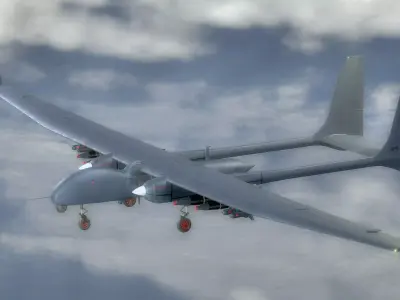 AKSUNGUR - Fuly Rigged - High Resolution Texture Low-poly 3D model