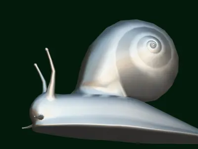 Swinhoe Giant Snail Gastropod Low-poly 3D model